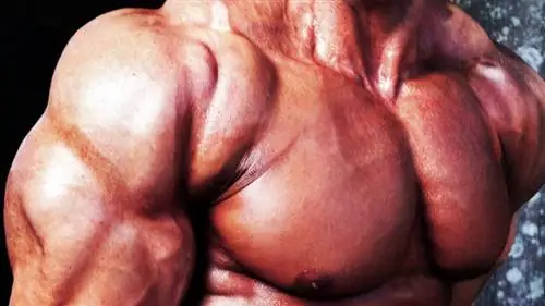 6 тренеров взвешивают плечи