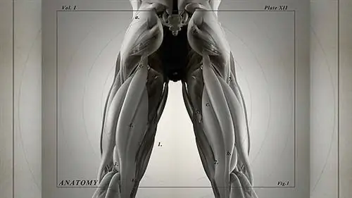 Сгибание ног: сидя, лежа или стоя?