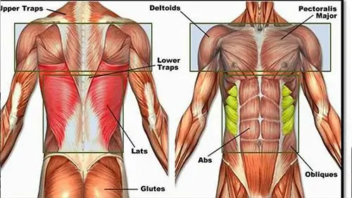 Стабилизация мышц