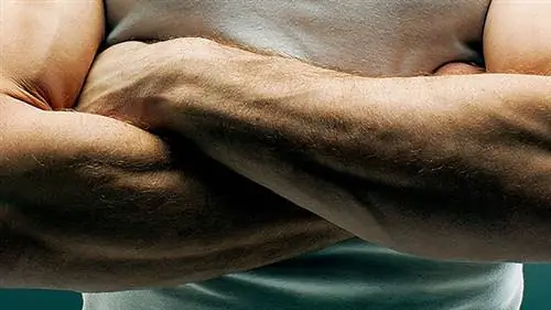 Совет: как правильно тренировать предплечья