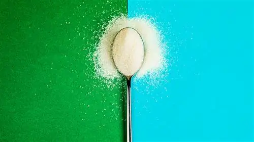 Аллюлоза: новый подсластитель для похудения?