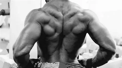 Совет: 3 гарантированных способа построить большую ловушку