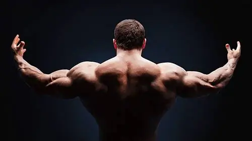 9 упражнений для полной спины