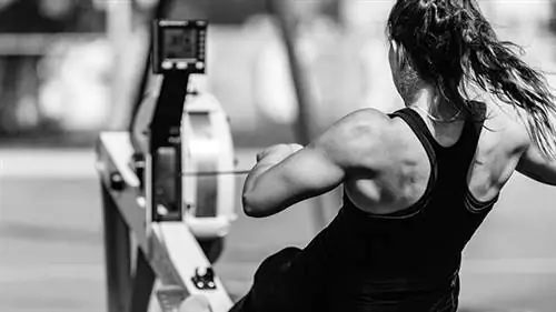 Совет: разоритесь на гребце