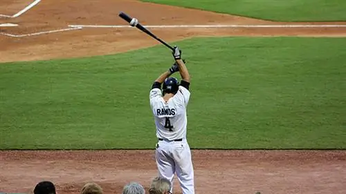 Вес летучей мыши