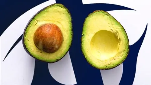 Лучшие и худшие жиры для бодибилдеров & Спортсмены