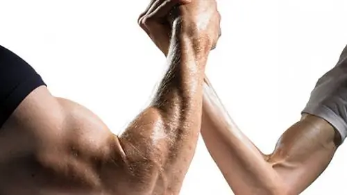 АРМ рестлер