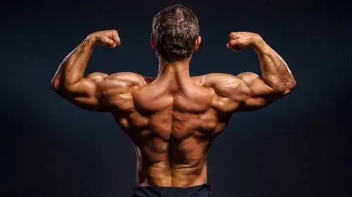 Тренировка верхней части спины: 5 методов тренировки