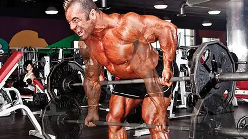 Тяга штанги для летучих мышей