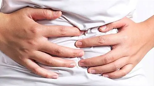 Совет: почему я все еще голоден?