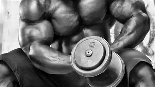 Мои любимые упражнения: Мышца за мышцей