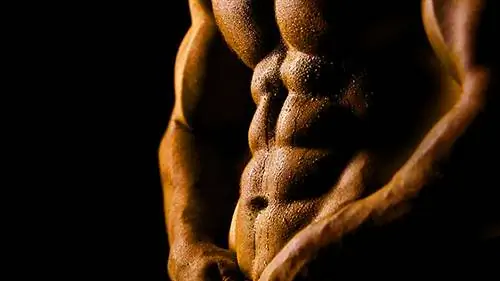 Не ваш средний B.S. Основное обучение