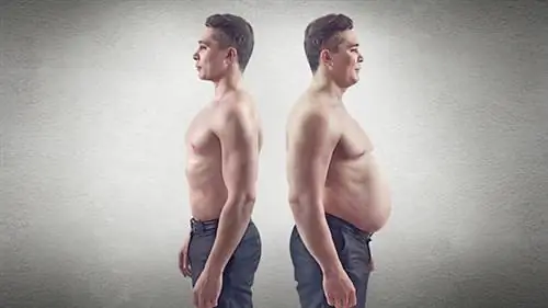 Толстый к худому