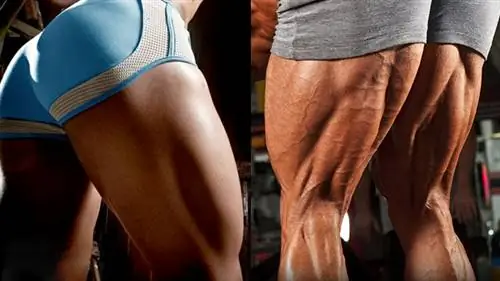 Лучшие чертовы упражнения для задней цепи