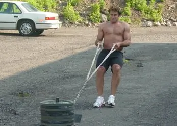 тяга саней тяга саней