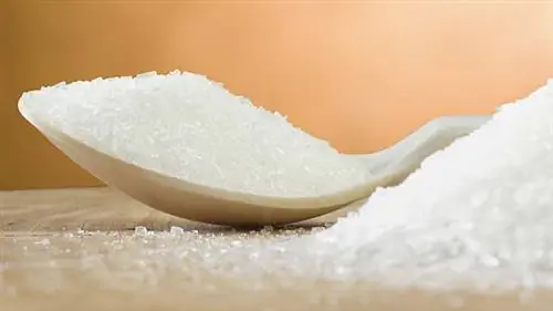 Совет: химический убийца, который полезен для вас