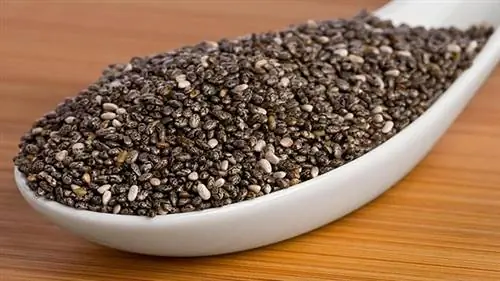 Вопрос о питании 4