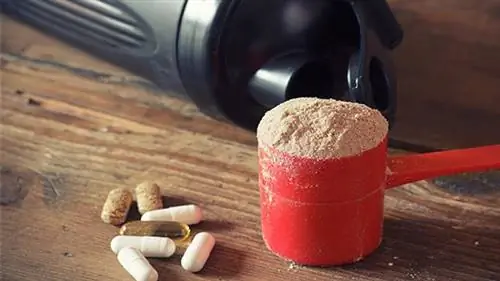 Белковый порошок