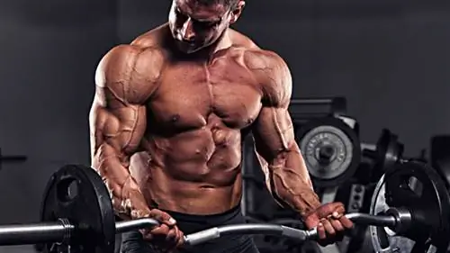 Как увеличить объем клеток для быстрого роста мышц