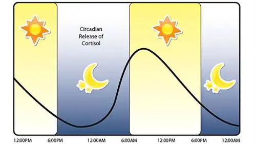 Циркадный выброс кортизола