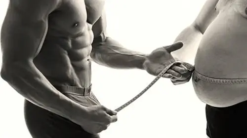 4 способа, которыми современная жизнь делает вас толстыми