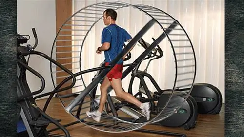 Беговое колесо