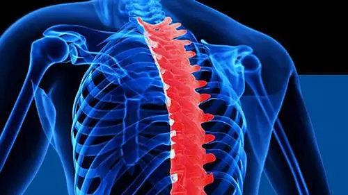 Совет: подвижность T-Spine для лифтеров