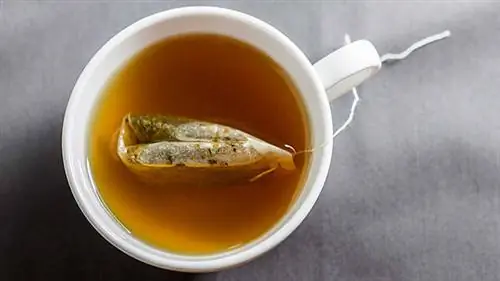 Зеленый чай Зеленый чай