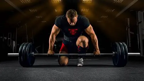 Установка становой тяги