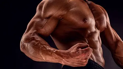 Извините, не извиняйтесь: эти модные тренировки действительно работают