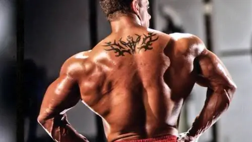 Построй свою спину