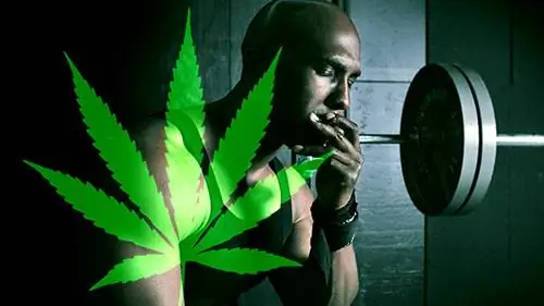 Честный совет о марихуане