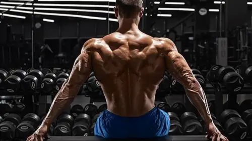 12 лучших альтернативных упражнений для спины & для груди