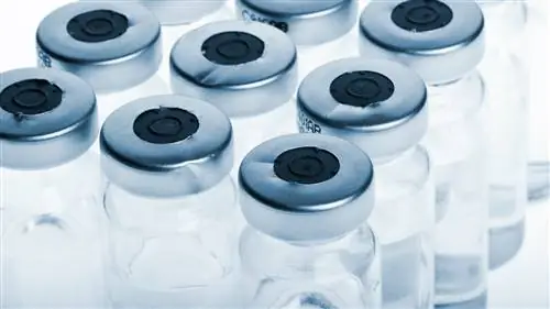 Почему я отказался от стероидов