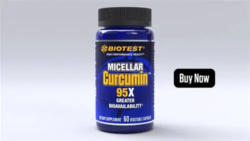 Мицеллярный куркумин Купить сейчас