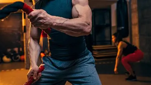 Стань большим. Стать сильнее. Не толстей и не умри