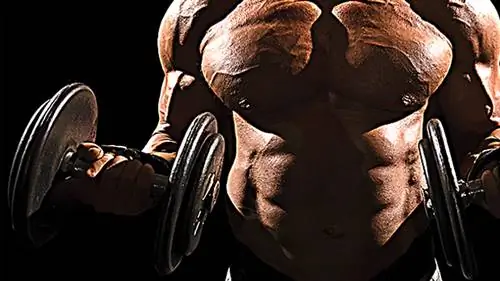 12 программ, которым стоит следовать