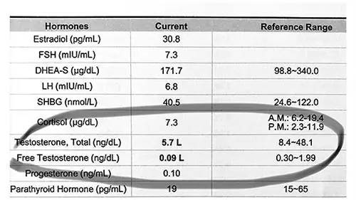Результаты теста