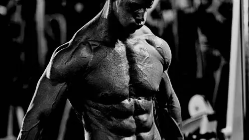 Измельчено за 6 дней