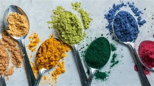 Полифенолы: польза, продукты и добавки