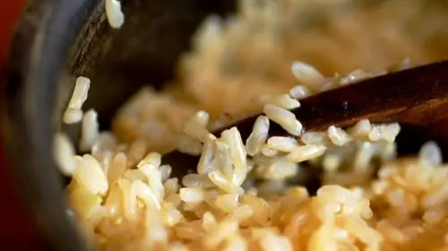 Питание для похудения