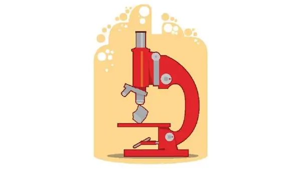 Наука о булыжниках