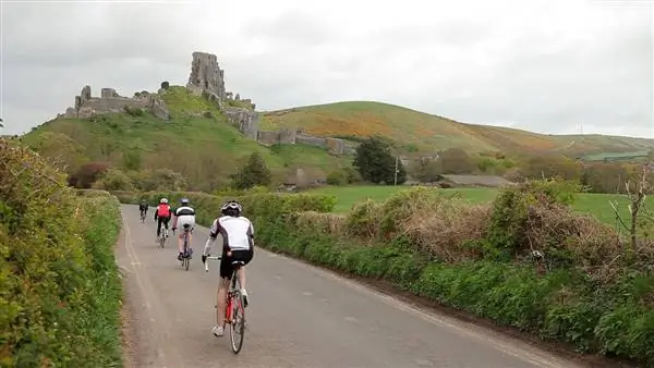 Спортивный планировщик: Wiggle Jurassic Beast