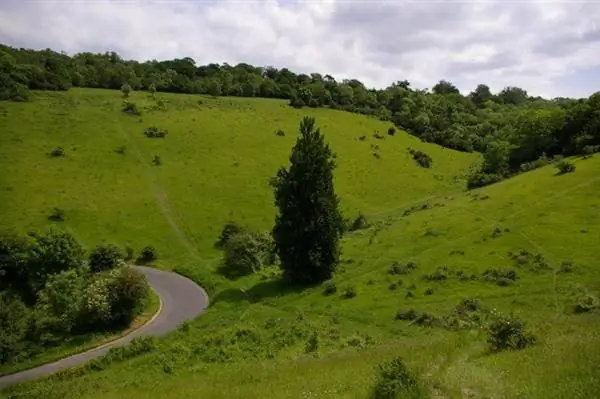 Box Hill станет дорогой с односторонним движением на пасхальные выходные