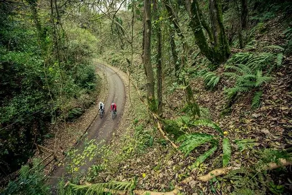 Прокатитесь семь раз в июне этого года вместе с Cycling UK в рамках Bike Week