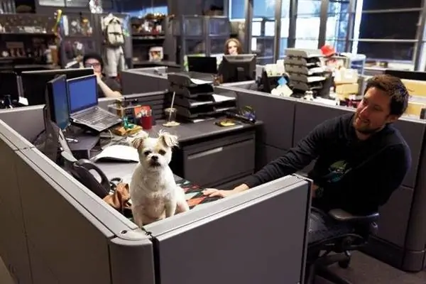 Окли собака