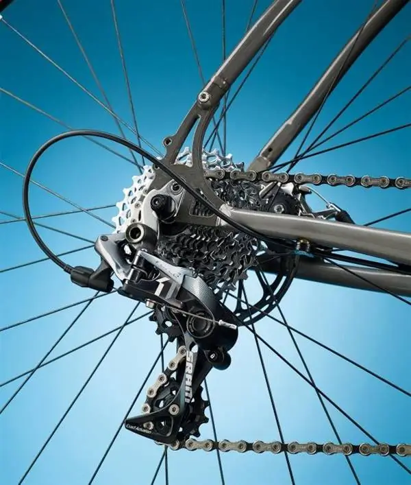 Группа Van Dessel WTF