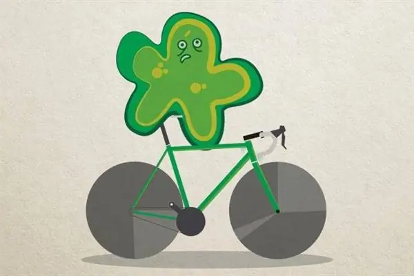 Вирус простуды