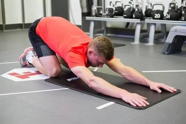 Кошачья растяжка