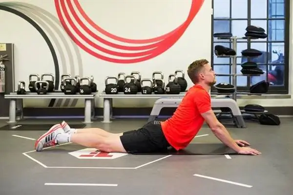 Кобра растянутая сторона на